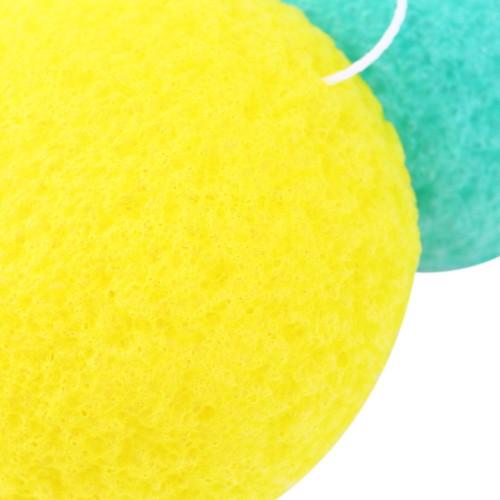 Fresh Face Veggie Face Sponge